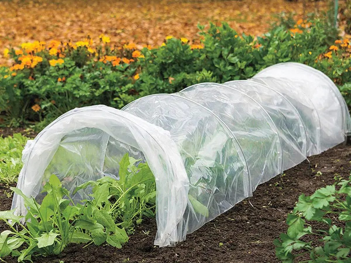 Greenhouse Galvanized Steel 3m — image 1