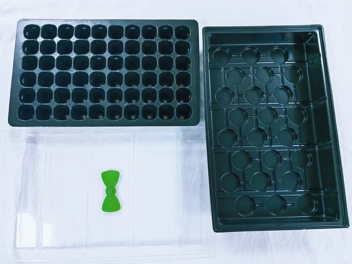 Greenhouse Plastic 39x24x10cm — image 1