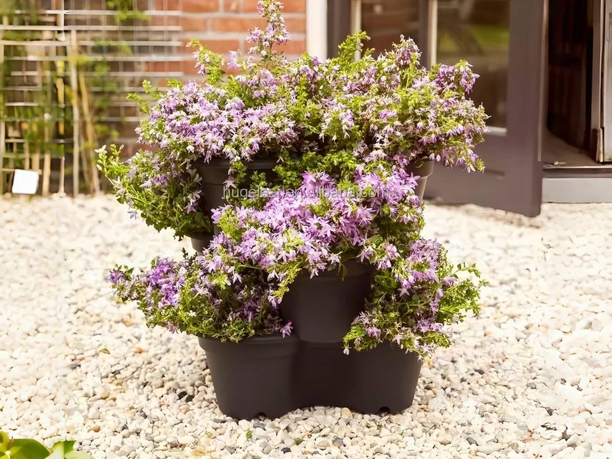 Strawberry Planter PP 35.5x36cm — image 1