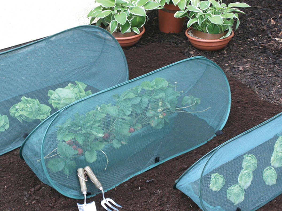 Pop-Up Grow Tunnel 100x40x35cm — image 1