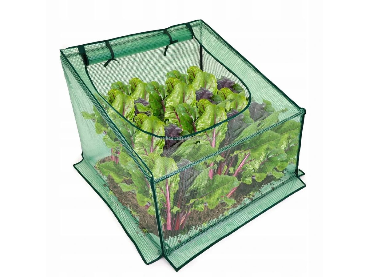 Cold Frame Metal 90x90x70cm — image 1