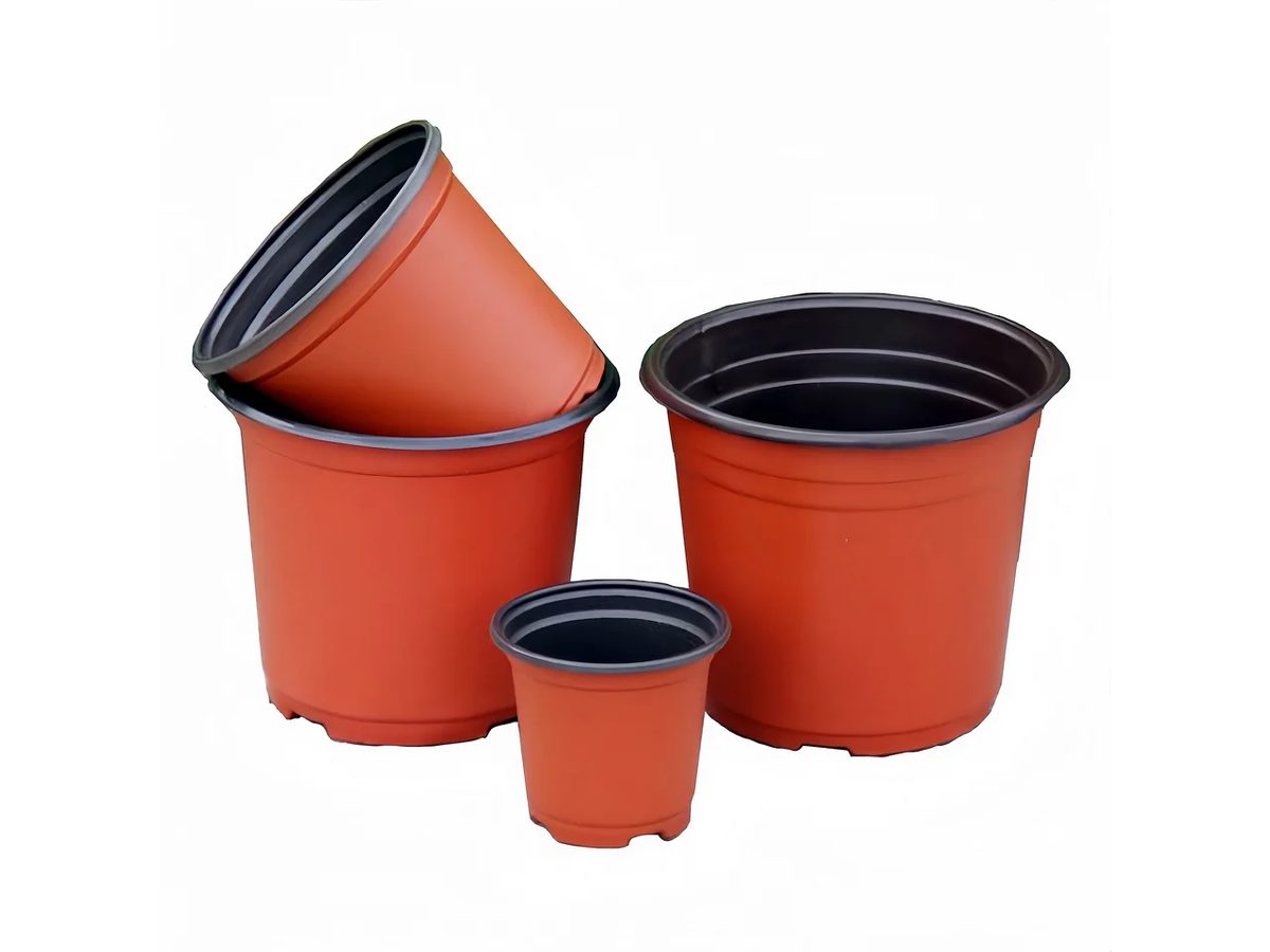 Nursery Pot 9cm — image 1