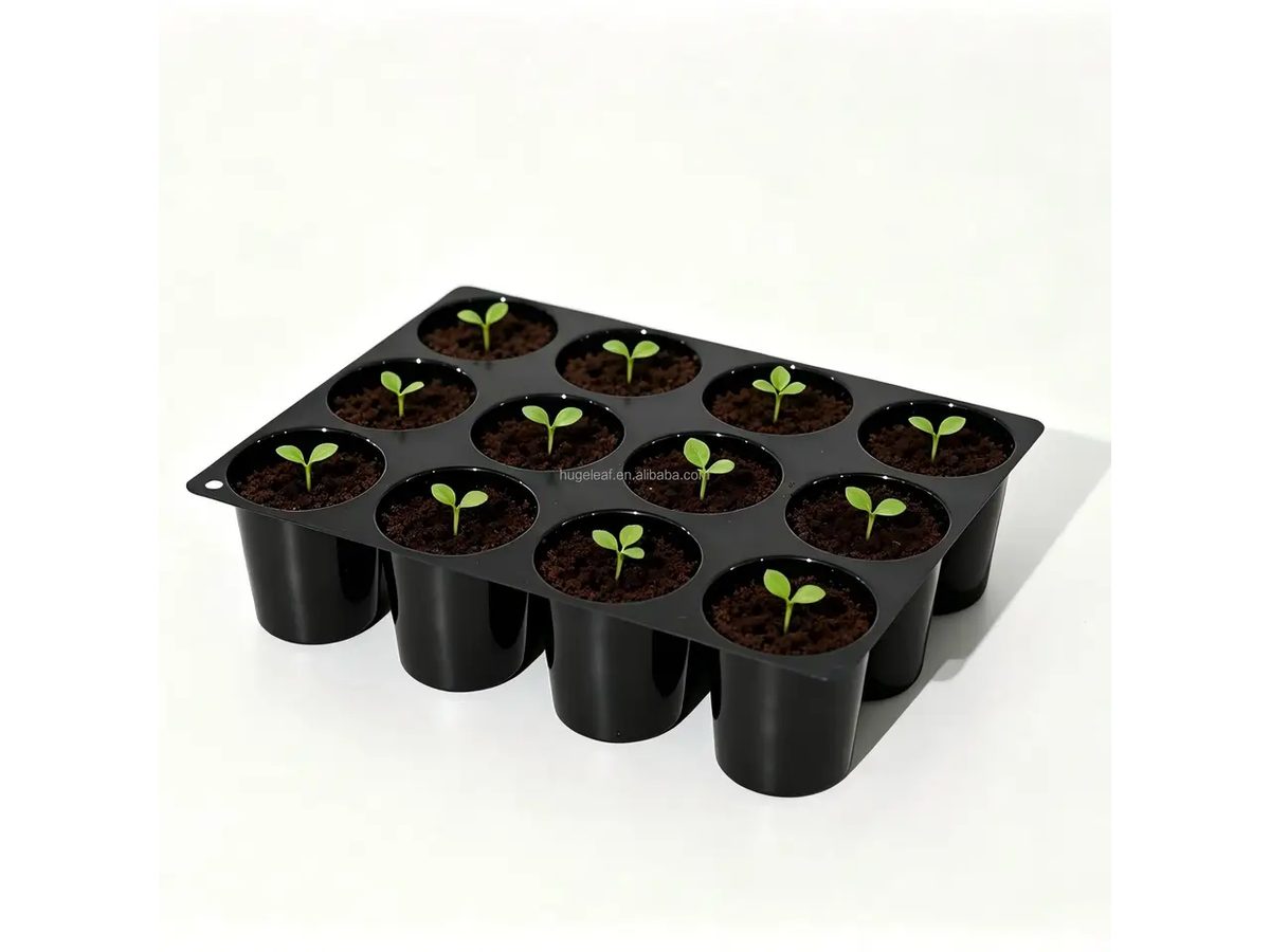 Seed Starter Tray Plastic 20.5x15.5x5cm — image 1